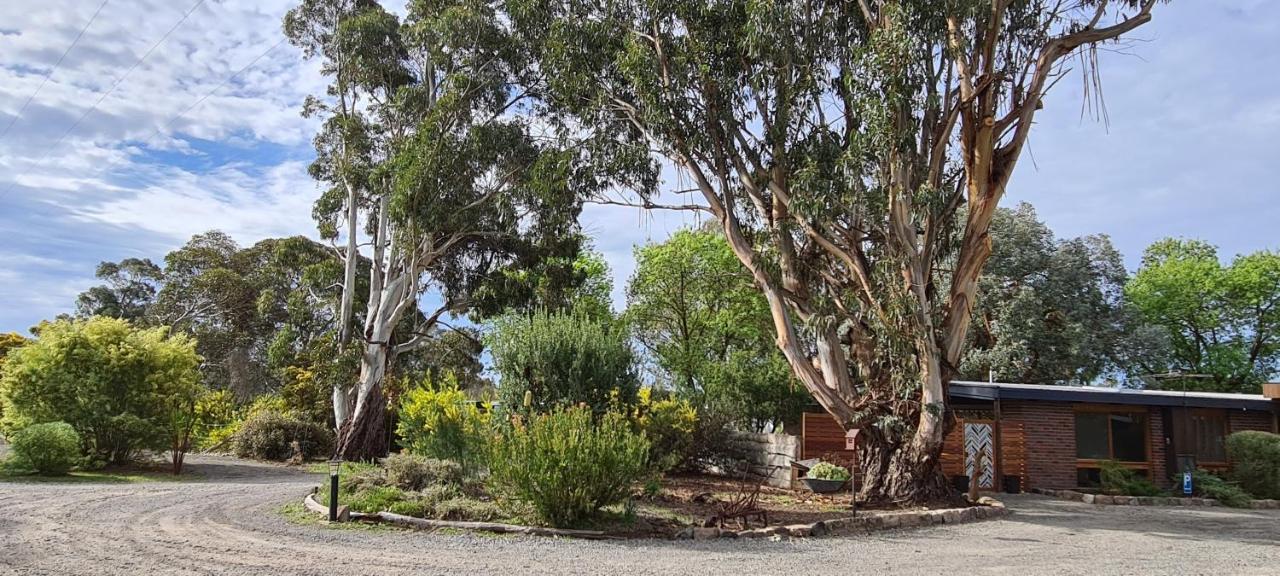 Halls Haven Holiday Units Hotel Halls Gap Exterior photo