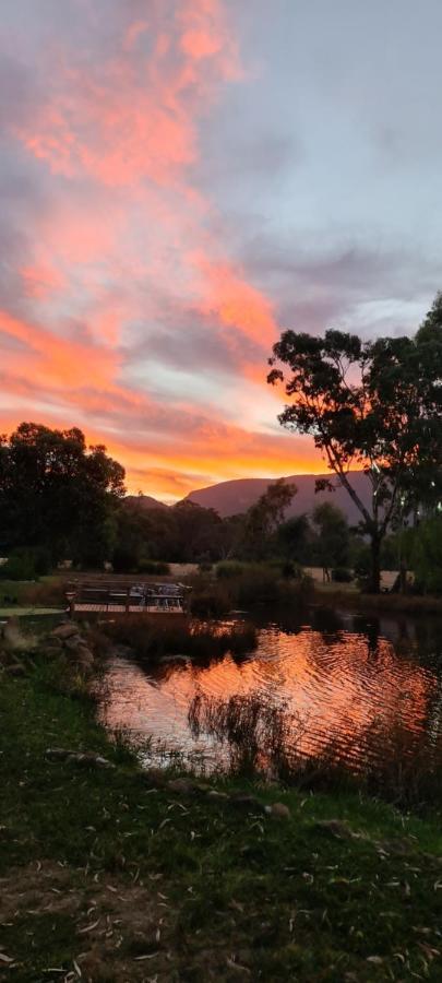 Halls Haven Holiday Units Hotel Halls Gap Exterior photo